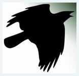 Data Crow logo